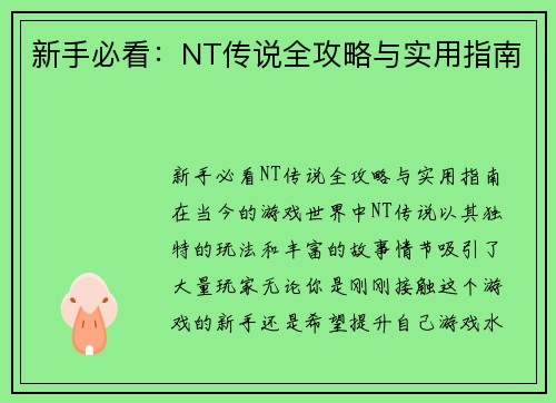 新手必看：NT传说全攻略与实用指南